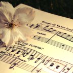 Importancia de la música en nuestra vida diaria